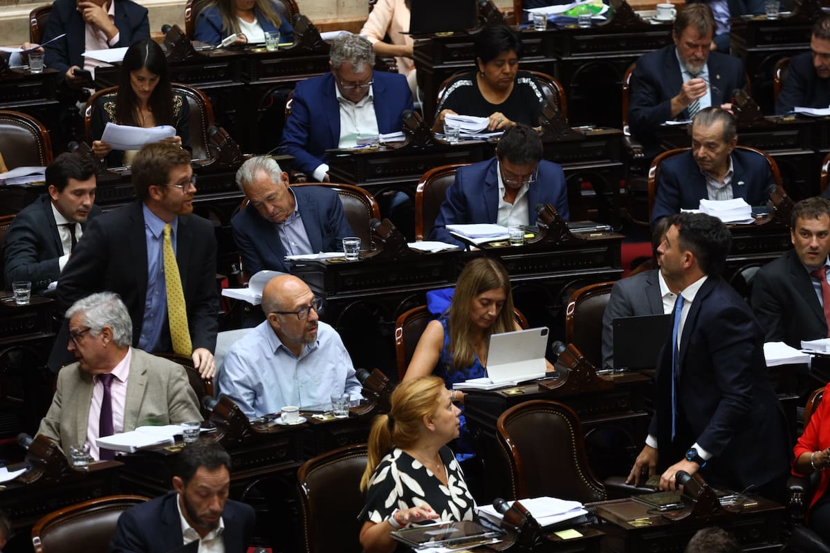 El debate de la ley ómnibus en la Cámara de Diputados