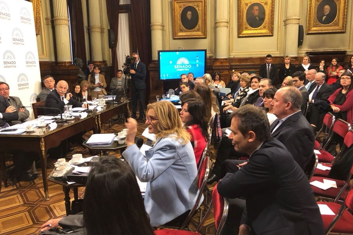 El debate en comisión comenzó en el Senado esta semana