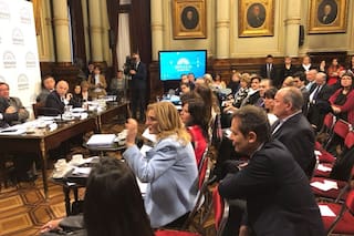 El aborto legal: la encrucijada de los senadores con aspiraciones en 2019