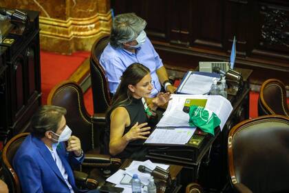 La Cámara de Diputados trata hoy en una sesión especial los proyectos de legalización del aborto y del "Plan de los 1000 días"