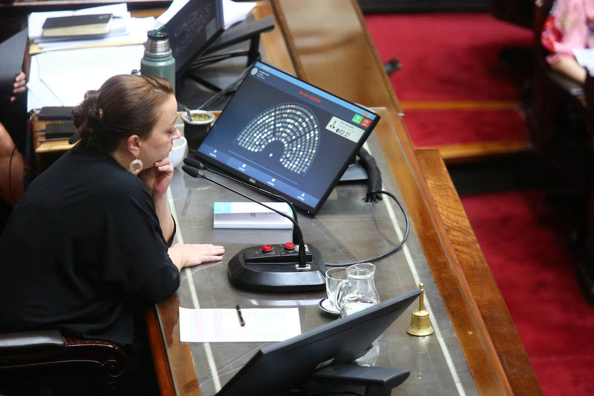 El debate por la boleta única en la Cámara de Diputados