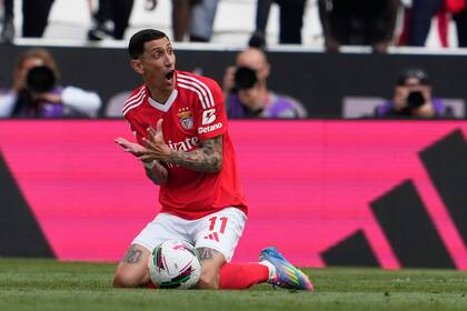 El delantero viene de jugar en el equipo portugués Benfica