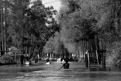 El Delta vecino: Un vecino notable es el Delta. Frente a Venice, el Delta nos permite descubrir y disfrutar de forma cotidiana la naturaleza y todos sus lugares, con islas, canales y pasajes