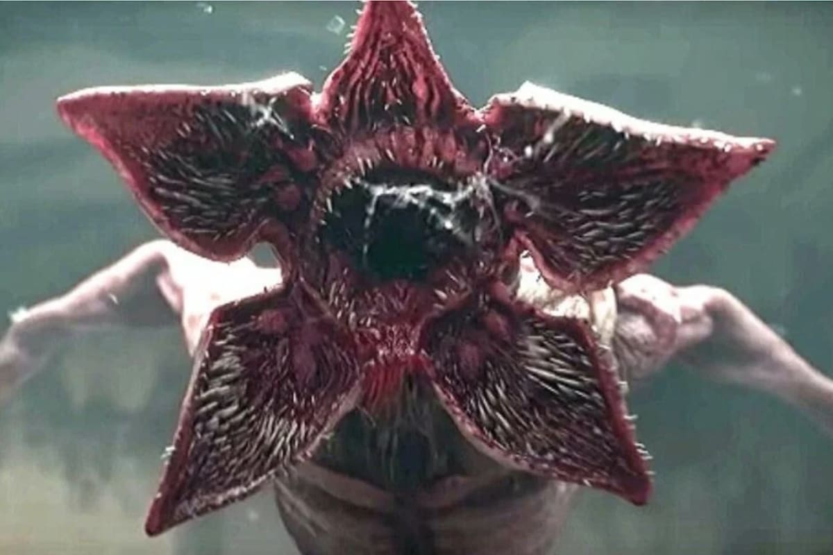 El demogorgon fue motivo de estudio de biólogos estadounidenses