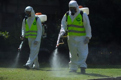 El Ministerio de Salud argentino tiene registro de 2.94 casos confirmados y probables de dengue.