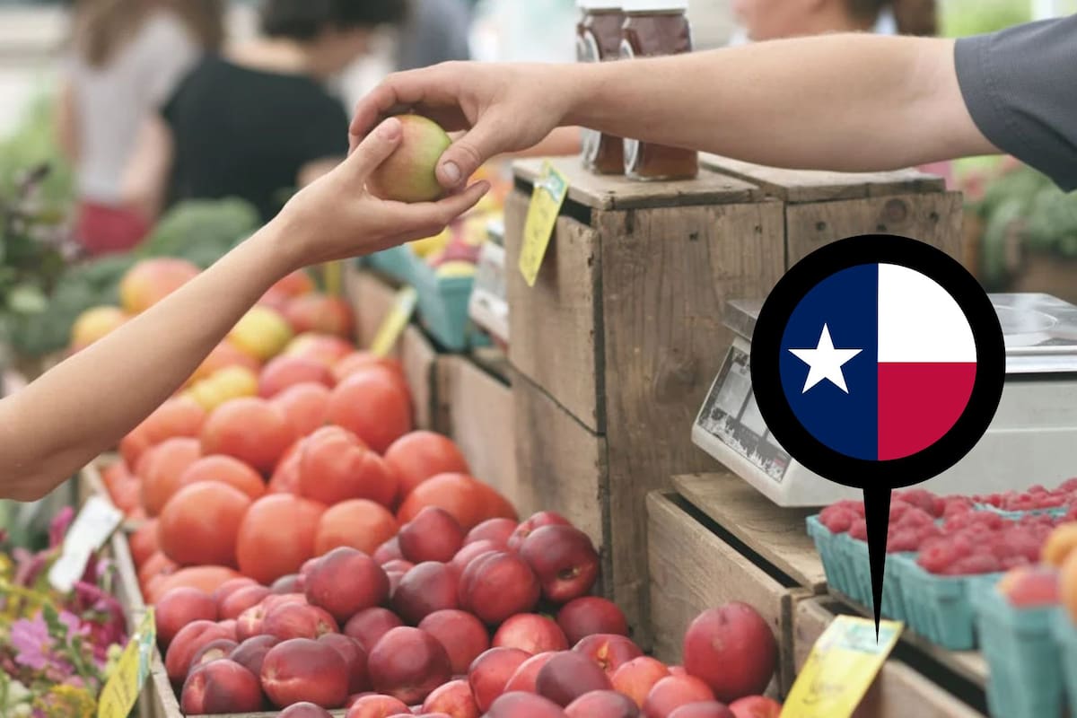 El departamento de agricultura de EE.UU. comparte las fechas del envío de cupones del SNAP en Texas (Pexels/Erik Scheel)