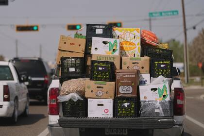 El Departamento de Comercio de EE.UU. reportó importaciones mexicanas de verduras, frutas y aguacates por miles de millones de dólares anuales