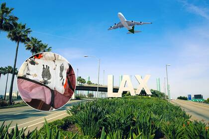 El Departamento de Justicia destacó la sofisticación del contrabando, que incluía ropa cubierta con una capa de metanfetamina