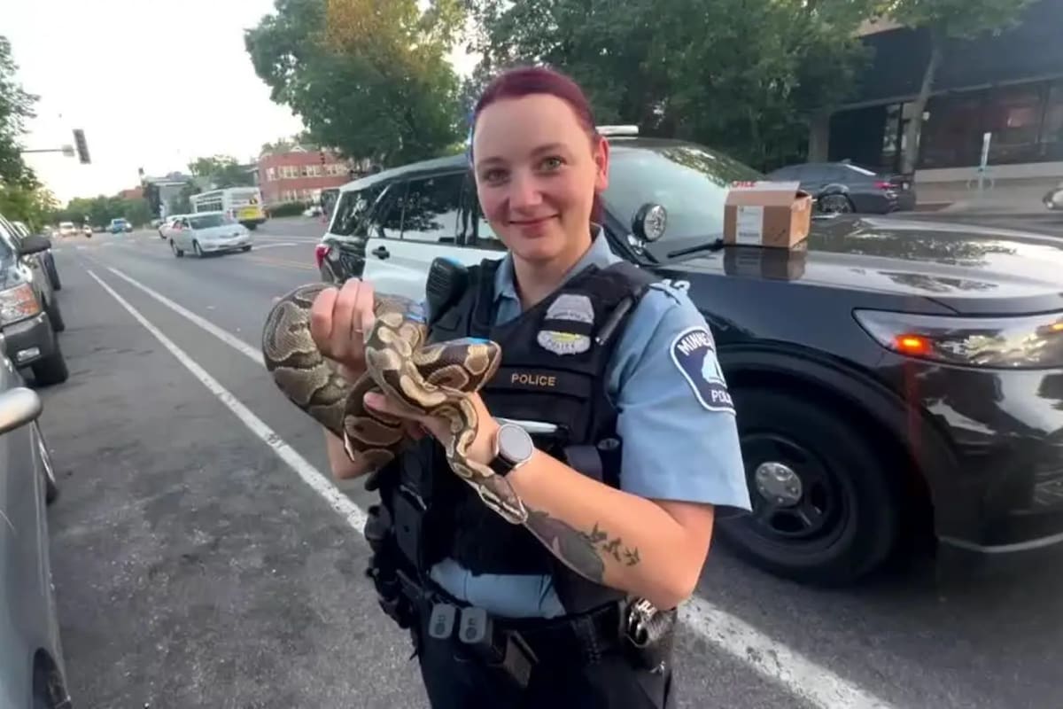El Departamento de Policía de Minneapolis recibió la llamada de emergencia y rápidamente envió a los oficiales del quinto distrito al lugar (Imagen del Departamento de Policía de Minneapolis)