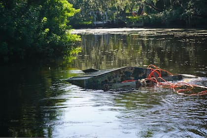 El departamento de policía de Tampa recibió un reporte y acudió a sacar el objeto