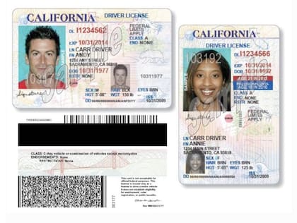 El Departamento de Transporte aseguró que en California se emitieron incorrectamente más del 25% de las licencias de conducir comerciales