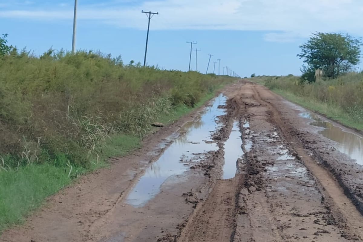 El deplorable estado de los caminos rurales en Colón, provincia de Buenos Aires