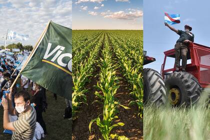 El derecho de propiedad estuvo cuestionado en el intento de expropiación de Vicentin y de la ocupación del campo de la familia Etchevehere