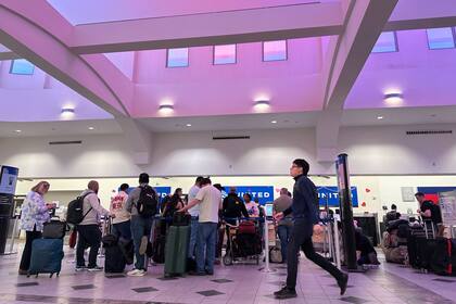 El derribo de drones causó la suspensión de vuelos en el área (AP Foto/Morgan Lee)