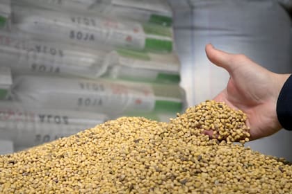 El derrumbe en la producción de soja ocasionó una merma también en la producción de harina, el producto estrella en materia de generación de divisas