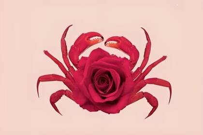 El desafío de la rosa y el cangrejo hace tiempo recorre las redes sociales