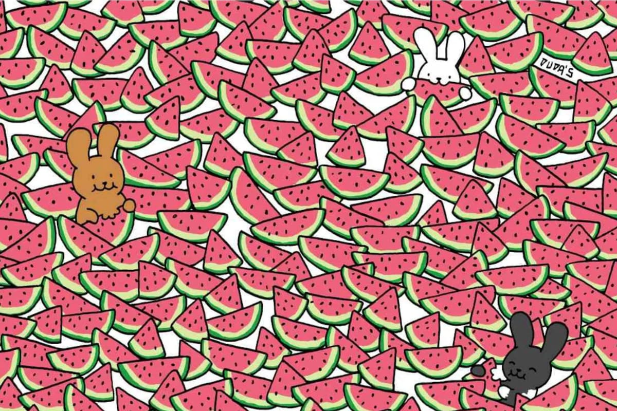 El desafío de las sandías sin semillas recorre las redes sociales y apela al ingenio del usuario
Foto: @thedudolf