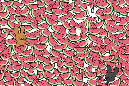 El desafío de las sandías sin semillas recorre las redes sociales y apela al ingenio del usuario
Foto: @thedudolf