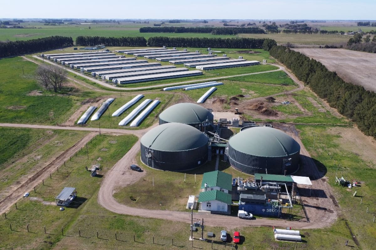 El desafío es encarar con decisión estos temas es el único camino para asegurar el futuro del sector porcino argentino