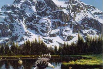 El desafío es encontrar la segunda águila de la imagen