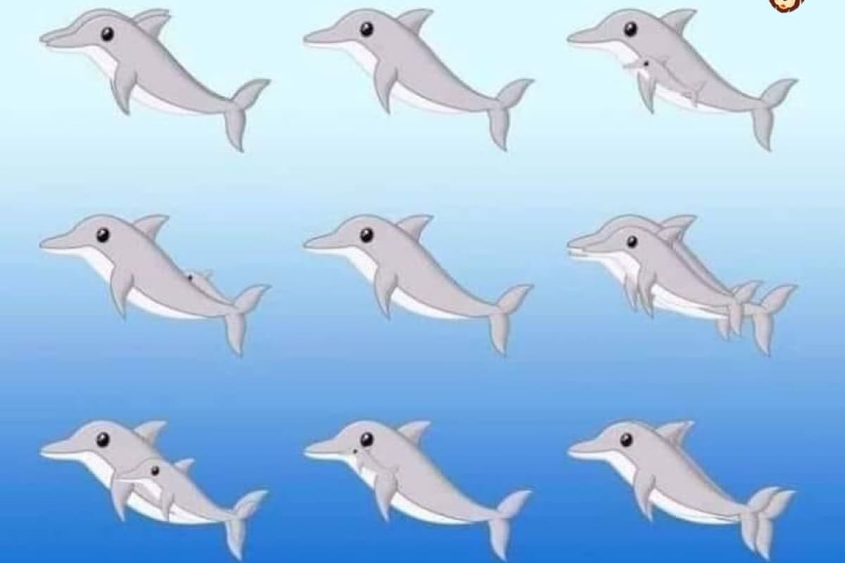 El desafío fue subido a Twitter y las respuestas, no todas correctas, llegaron por montones