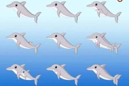 El desafío fue subido a Twitter y las respuestas, no todas correctas, llegaron por montones