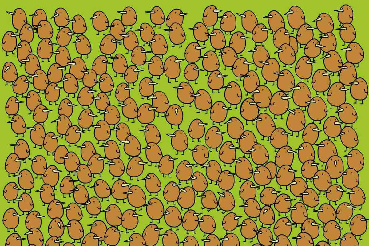 El desafío para expertos que es tendencia en redes.