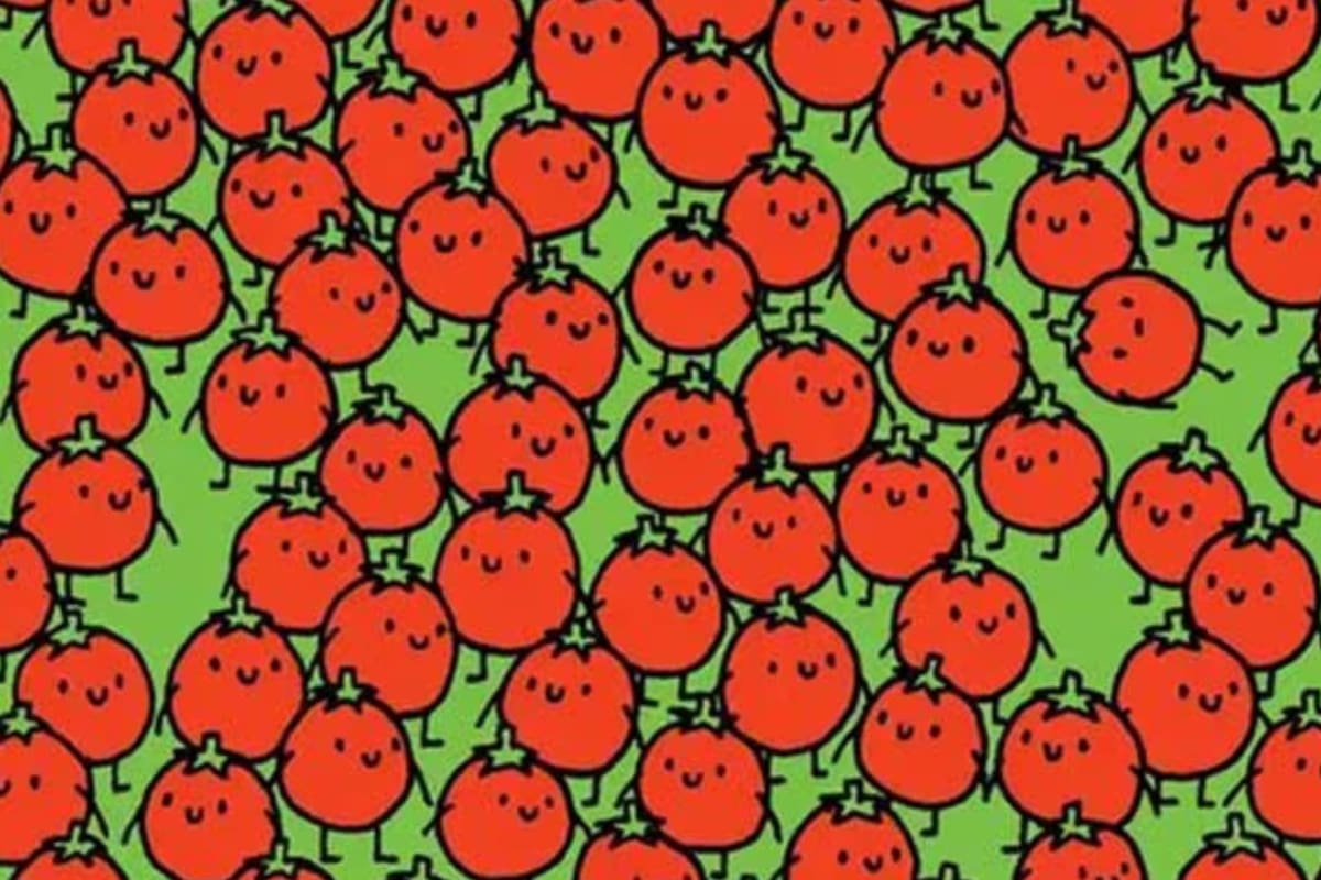 El desafío para los que tengan vista de halcón y mucha paciencia