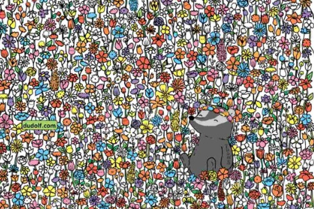 El desafío que muy pocos logran resolver y en el que hay que encontrar las mariposas