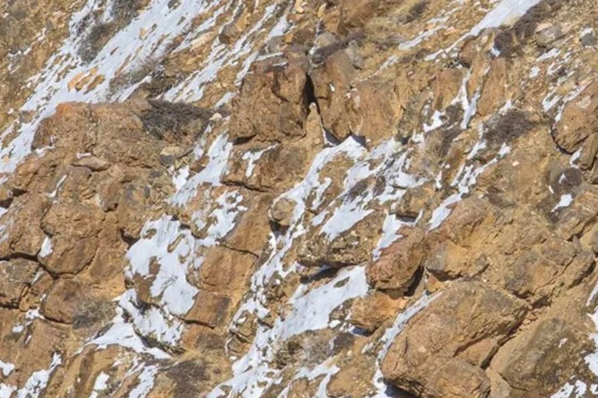 El desafío se compartió en Reddit y puso en jaque a los usuarios.