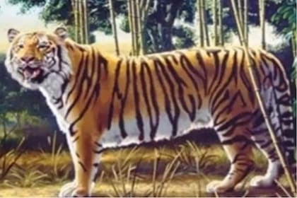 El desafío viral del tigre que es furor en las redes sociales
