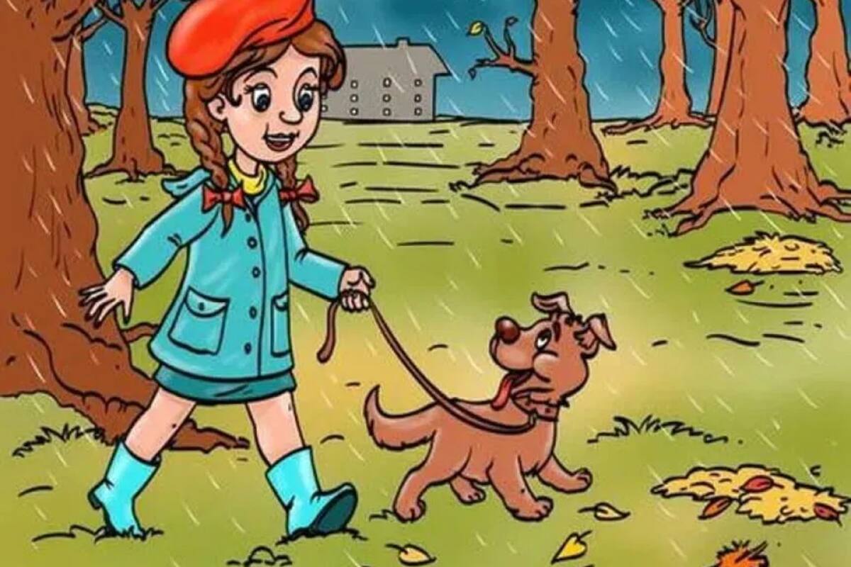 El desafío viral que solamente el 10% de las personas pudieron resolver