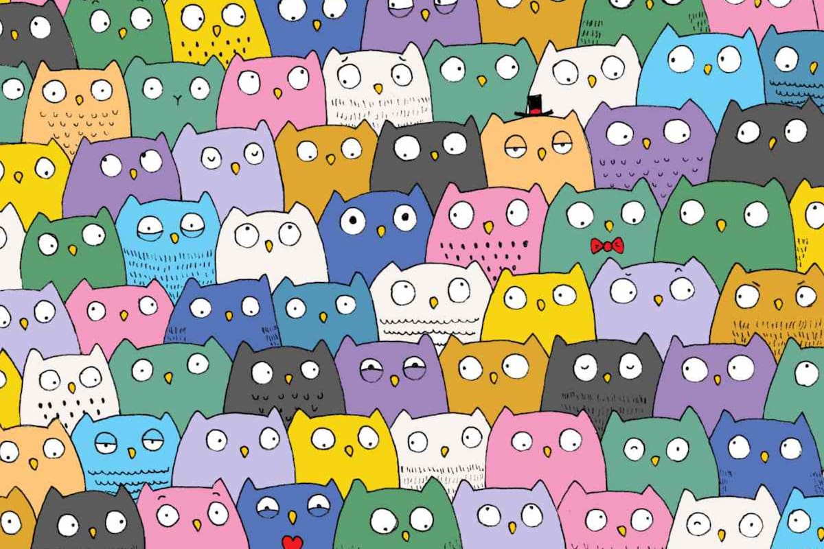 El desafío visual del gato que requiere de 15 segundos para resolverlo