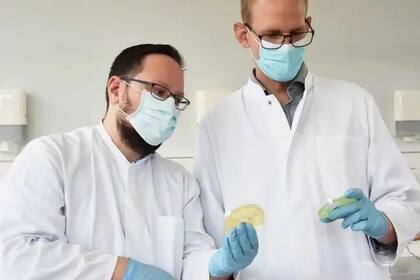 El desarrollo del nuevo prototipo de parche de hidrogel contó con el aporte de investigadores en ciencia de materiales y un equipo de médicos de diferentes instituciones médicas de Estados Unidos y Corea del Sur