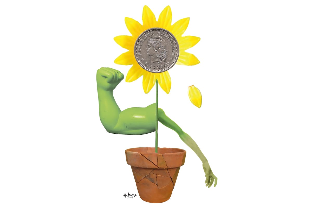 El desarrollo económico argentino