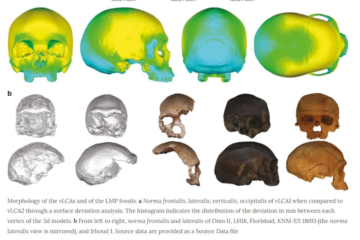 El desarrollo fue resultado de un estudio de tres años