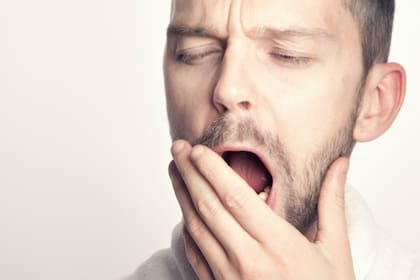 El descanso nocturno es vital para el reacondicionamiento celular