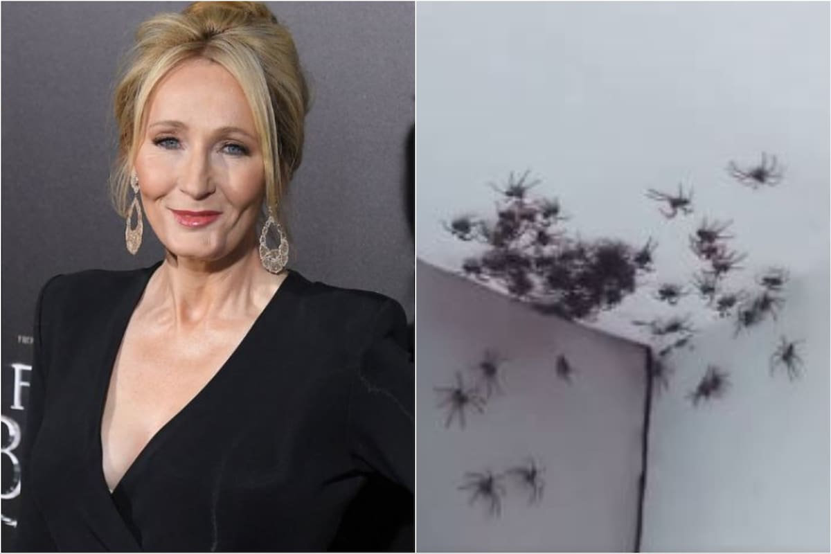 El descargo de J.K. Rowling al ver una casa invadida por tarántulas en Australia