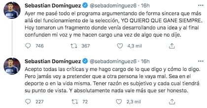 El descargo de Sebastián Domínguez