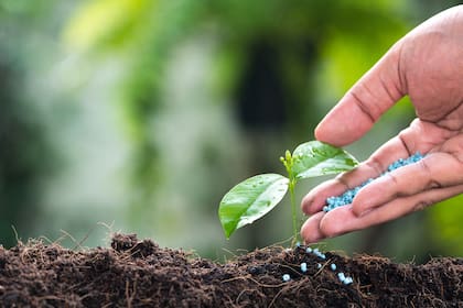 El descenso del valor de los fertilizantes mejora la ecuación del negocio agrícola
