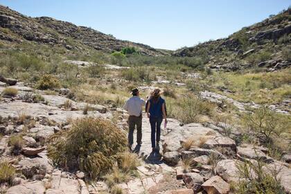 El desconocido PN Lihué Calel es reservorio de la flora de La Pampa.