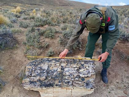 El descubrimiento activó un operativo de relevamiento, preservación y análisis de uno de los sitios más singulares identificados recientemente en Río Negro