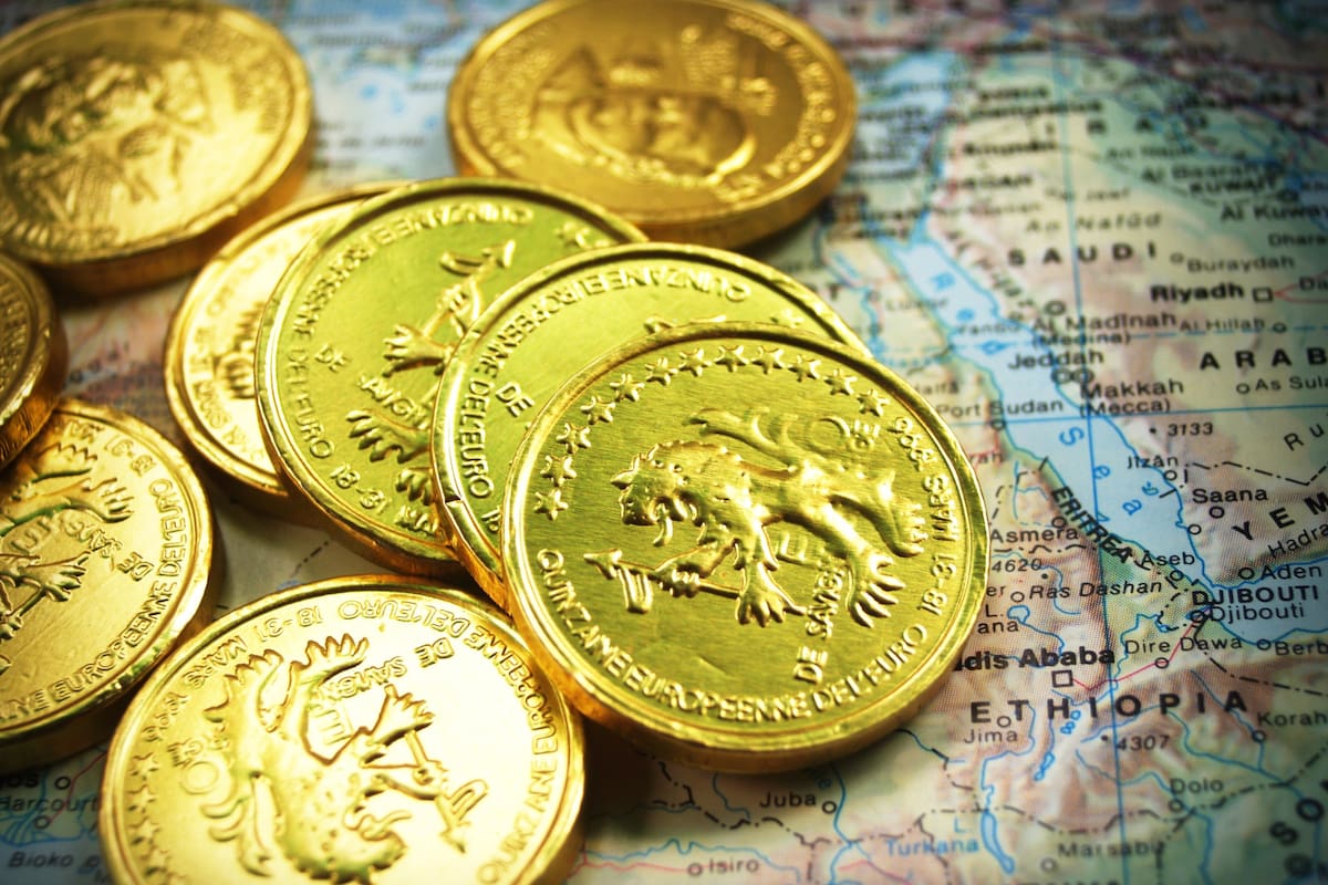 El descubrimiento de estas 239 monedas troqueladas durante los reinados de Luis XIII (1610-1643) y Luis XVI (1645-1715) se produjo en 2019 en Plozévet, una pequeña localidad de la región de Bretaña