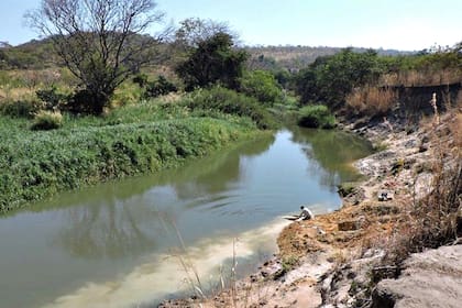 El descubrimiento de trozos de madera antigua a orillas de un río en Zambia