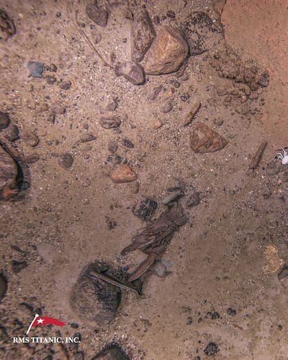 El descubrimiento en el Titanic impresionó a los fanáticos de esta historia