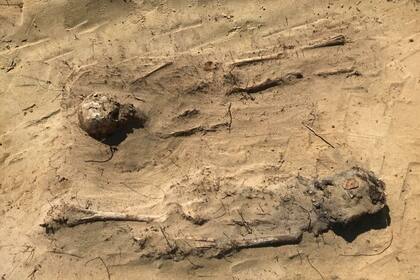 El descubrimiento fue realizado casualmente mientras construían una carretera en el sudeste de Polonia y los arqueólogos dicen que los restos datan de los siglos XVI y XVII de nuestra era