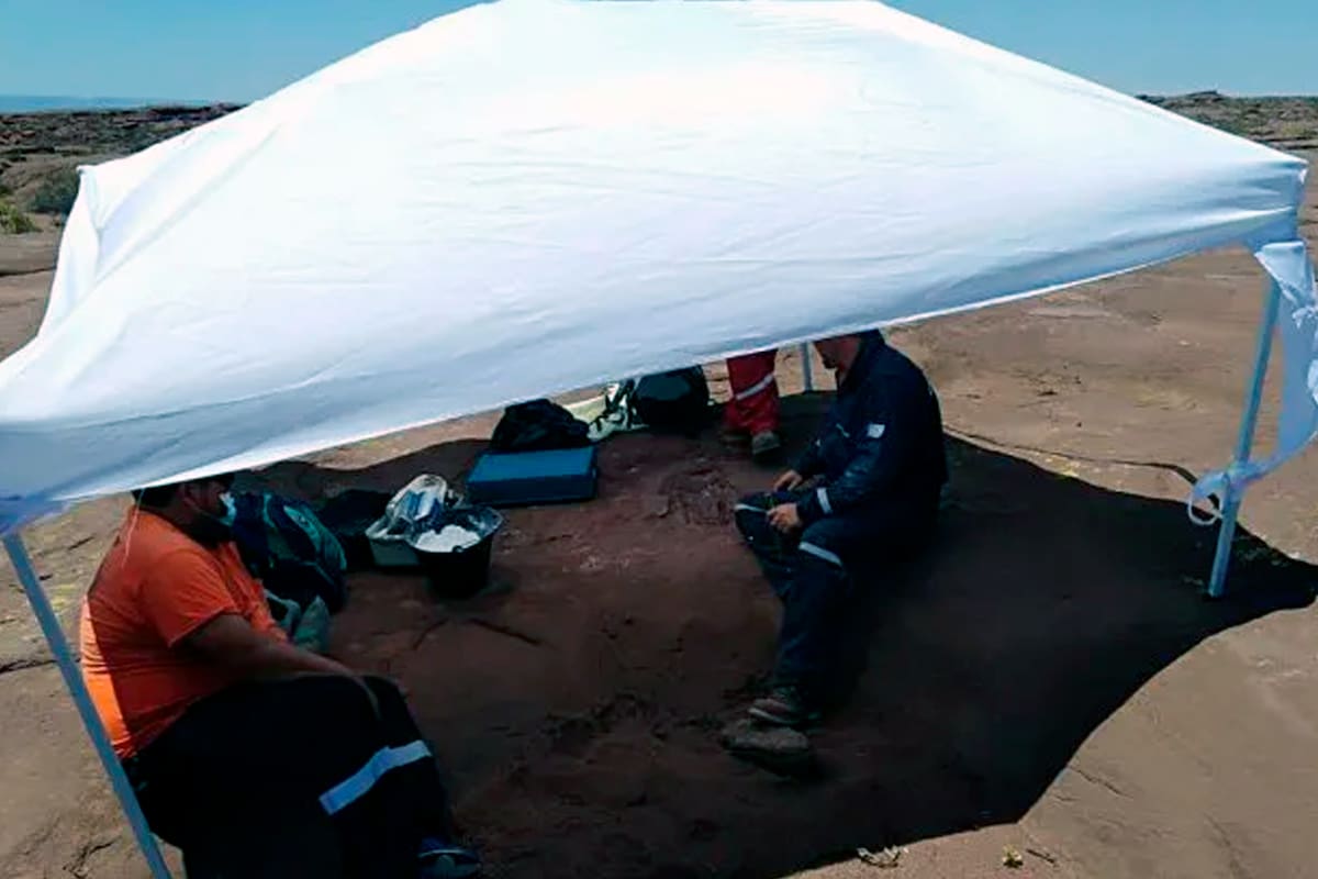 El descubrimiento los restos óseos tuvo lugar mientras se hacían tareas para un estudio de impacto ambiental en la zona