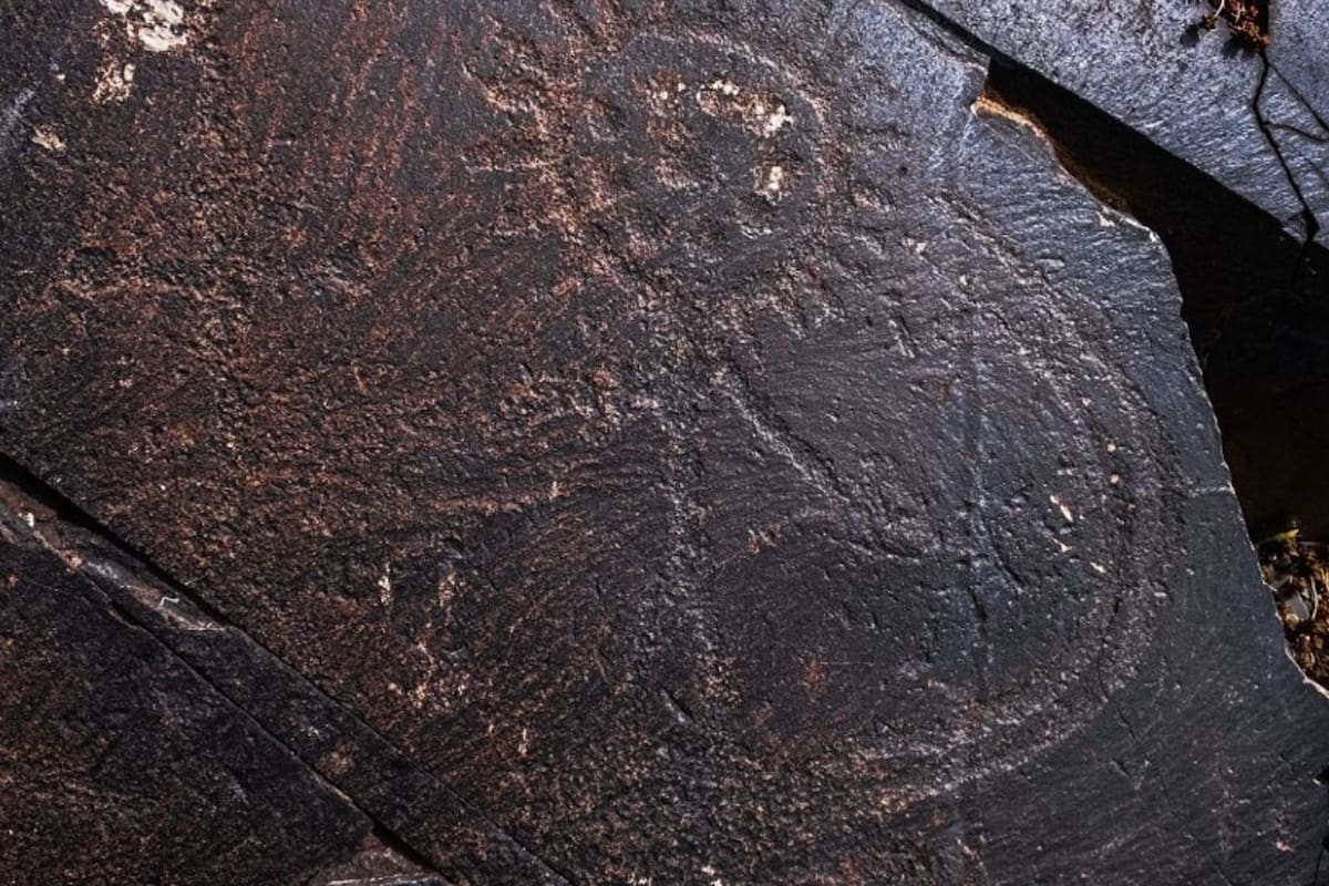 El descubrimiento sorprendió a los arqueólogos.