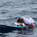 La conmovedora despedida de un surfista a su perro tras 16 años juntos