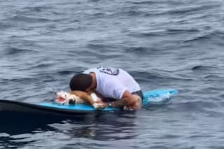 La conmovedora despedida de un surfista a su perro tras 16 años juntos